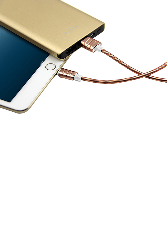 Iwalk 1-Meter Premium Certified Metallic Lightning Cable, 2.4A USB Type A Male to Lightning for Apple Devices, Gold