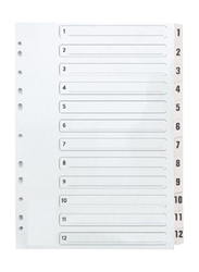 Modest PVC 1-12 with Number Divider File Folder, Grey