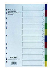 Modest PVC 10 Color Divider File Folder, White