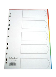 Modest PVC A4 5 Color Divider File Folder, Multicolor