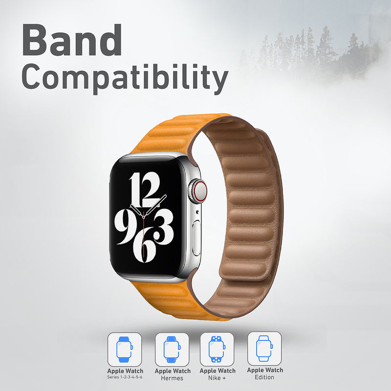 apple watch se orange