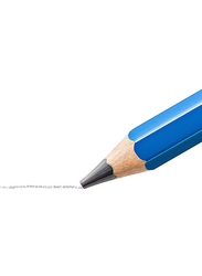 Staedtler Mars Lumograph Jumbo 100J-HB Pencils Set, Pre-Sharpened Writing and Art Drawing, 2/ HB Lead, Multicolor