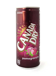 Canada Dry Pomegranate Soda, 250ml