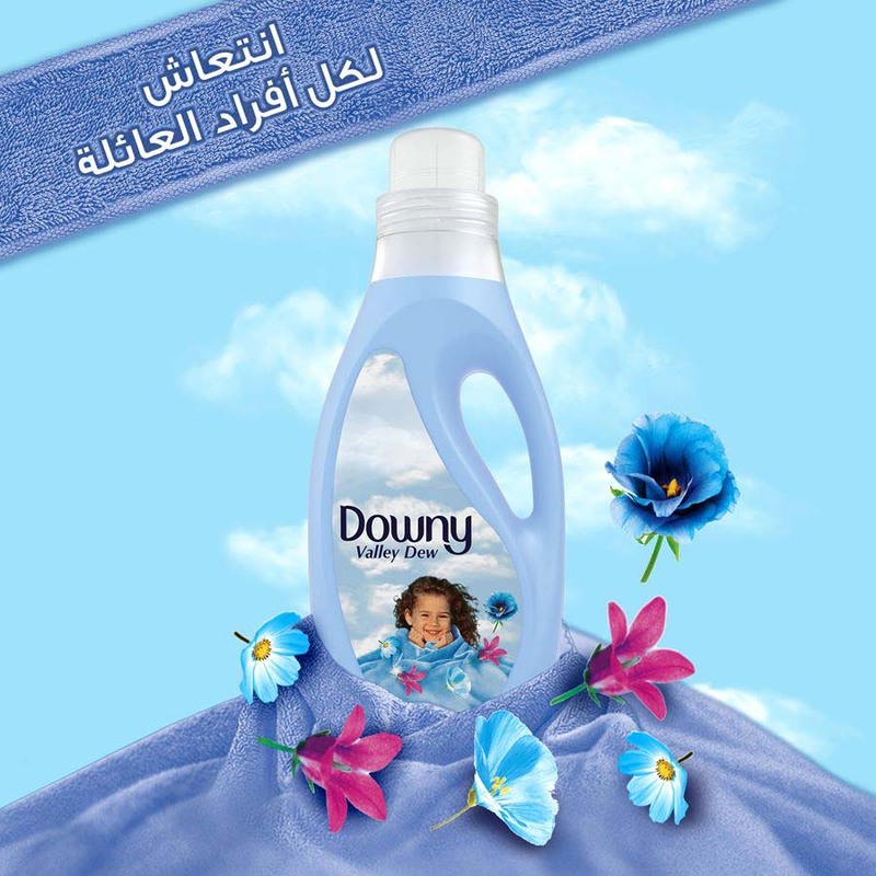 Downy Valley Dew Regular Fabric Softener, 1 Liter