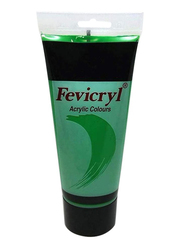 Fevicryl Acrylic Colour, 200ml, Green