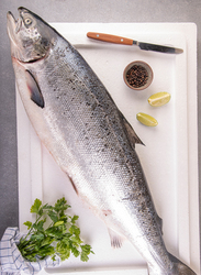 Salmon Fresh Fish Norway, 1 KG (Fillet with Skin)
