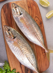 Trevally Gold Fresh Fish UAE, 1 KG Approx 2 Pieces (Cut Type: Curry Cut)