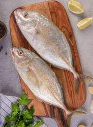 Orange-Spotted Trevally Fresh Fish UAE, 1 KG Approx 2 Pieces (Cleaning & Gutting)