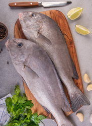 Trout Sweetlips Fresh Fish UAE, 1-1.2 KG 1 Piece (Cut Type: Curry Cut)