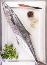 King Fish Small Fresh Fish UAE, 1.2-1.6 KG 1 Piece (Whole, Without Cleaning)