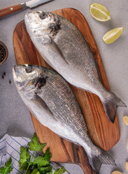 Sea Bream Fresh Fish UAE, 1 KG 2/3 Pieces (Whole)