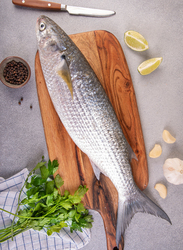 Grey Mullet Fresh Fish Large UAE, 1 KG 2/3 Pieces (Whole)