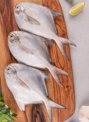 Silver Pomfret Fresh Fish Pakistan, 1 KG Approx 5 Pieces (Whole)