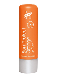 Himalaya Herbals Sun Protect Orange Lip Balm, 4.5gm