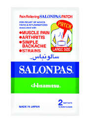Salonpas Pain Relieving Patch, Large, 2 Pieces