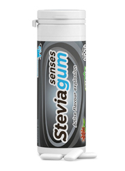 Ginjer Anise Steviagum, 30g