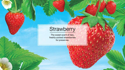 Little Trees Spray Strawberry Air Freshener, 103ml, Multicolour