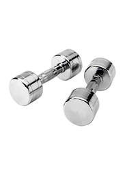 Apus Poland Premium Chrome Dumbbells, 2 x 6KG, Silver