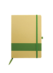 Silver Sword Eco Friendly Notebook with Stripe, Green