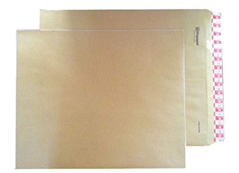 

Hispapel 10-Piece 17.5 x14.5-inch 100GSM Manila Envelope, Brown