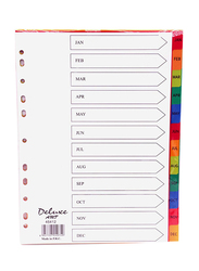 Deluxe Amt 45412 Jan-Dec Plastic Divider with Letter, 10 Sets, A4 Size, Multicolor