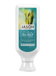 Jason Smoothing Sea Kelp Conditioner for All Hair Type, 454gm