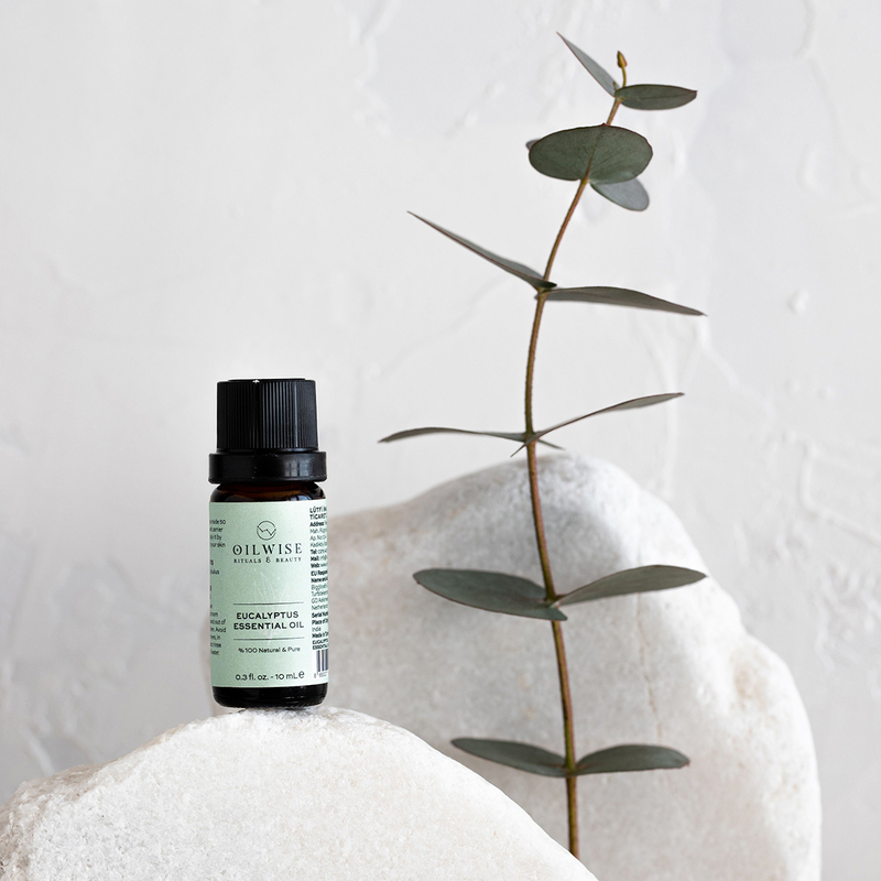 Oilwise Eucalyptus Essential Massage Oil, 10ml