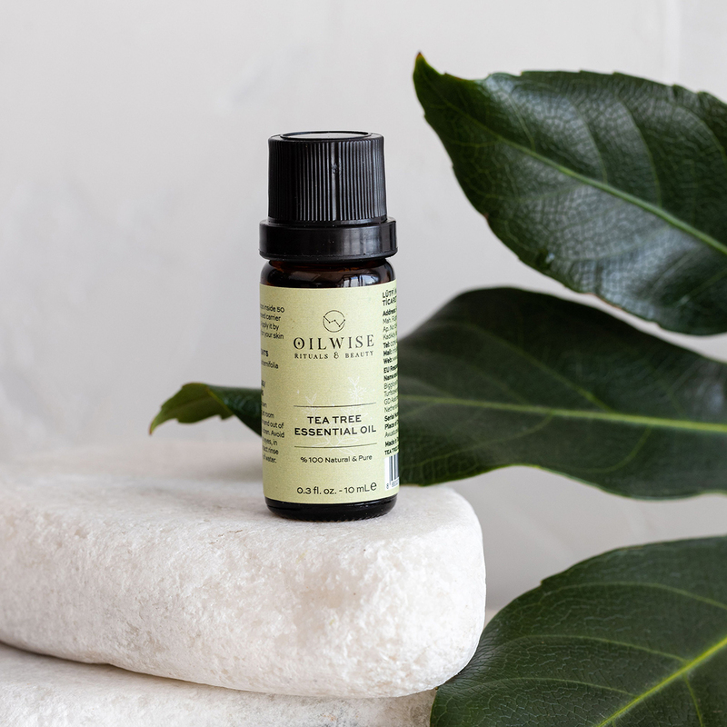 Oilwise Tea Tree Essential Massage Oil, 10ml