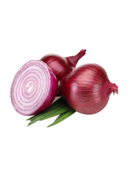 From Australia Red Onion, 1Kg