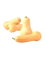 Butternut Pumpkin Squash South Africa, 1.5 to 2.5 Kg (Approx)