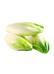 Chicory Holland, 3 Pieces, 500g (Approx)