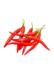 Bird Red Chilli Thailand, 100g (Approx)