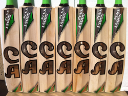 CA PLUS 15000 English Willow Cricket Bat, 3 Pieces, Brown/Green