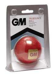 GM Stuart Broad Tru Bounce Soft Cricket Ball, Red