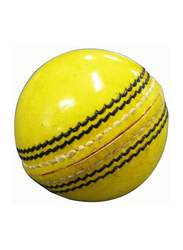 Indoor Cricket Ball, 20.32cm, Yellow