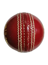 CA 2-Piece Attack Magic Cricket Ball Set, Red