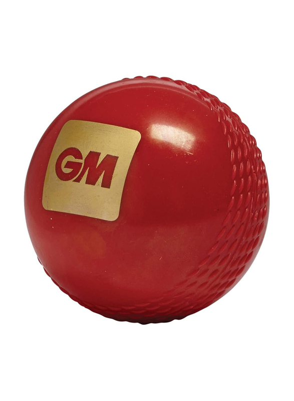 GM Stuart Broad Tru Bounce Soft Cricket Ball, Red