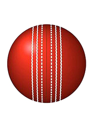 20.32cm Cricket Ball, Red