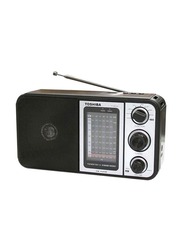 Toshiba Multi Band Portable Radio with USB, TY-HRU30, Black/Silver