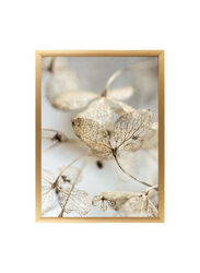 Danube Home Gallery Flowers Like Butterflies Framed Wall Art, Multicolour