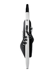 Roland AE-20 Aerophone Wind Instrument, Black/White