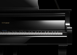 Roland GP609-PE Digital Piano, 88 Keys, Polished Ebony