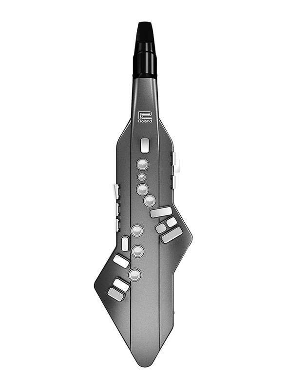 

Roland AE-05 Aerophone Wind Instrument, Grey