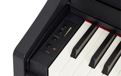 Roland RP102-BK Digital Piano with Stand, 88 Keys, Black