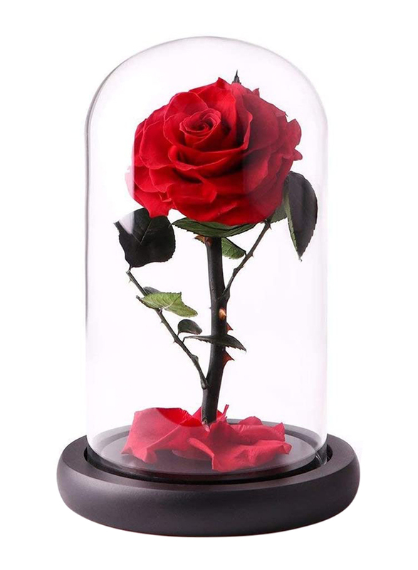 Eternal Handmade Glass Preserved Flowers, Red