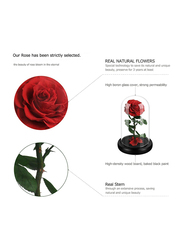 Eternal Handmade Glass Preserved Flowers, Red