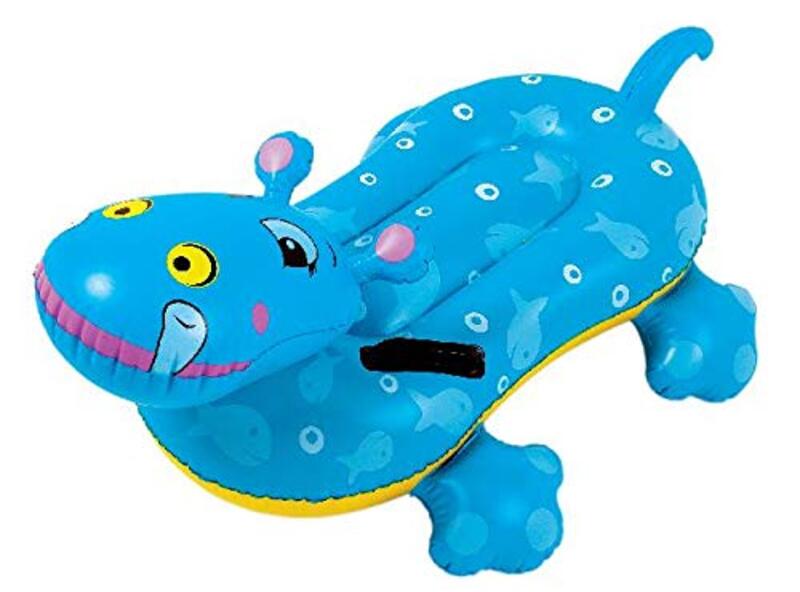 

Generic General Funny Hippo Rider, Multicolour