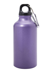 TA Sport Stainless Steel Water Bottle, LS3422, 350ml, Purple
