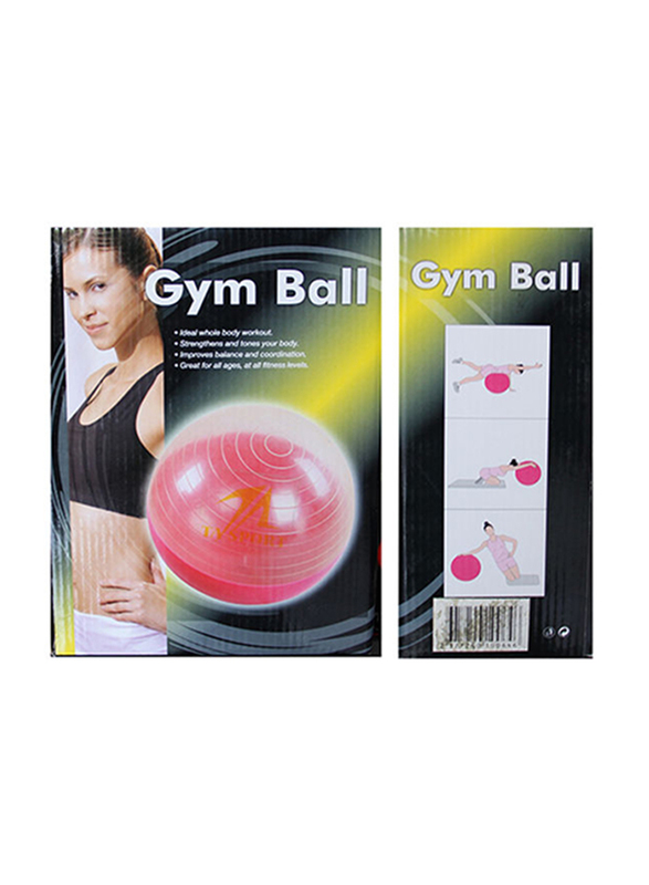 

Generic Gym Ball without Pump, Grey