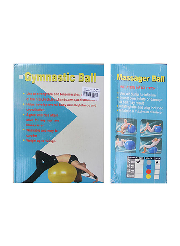 

TA Sport LS-3262 Gym Ball with Massage and Foot Pump, Grey